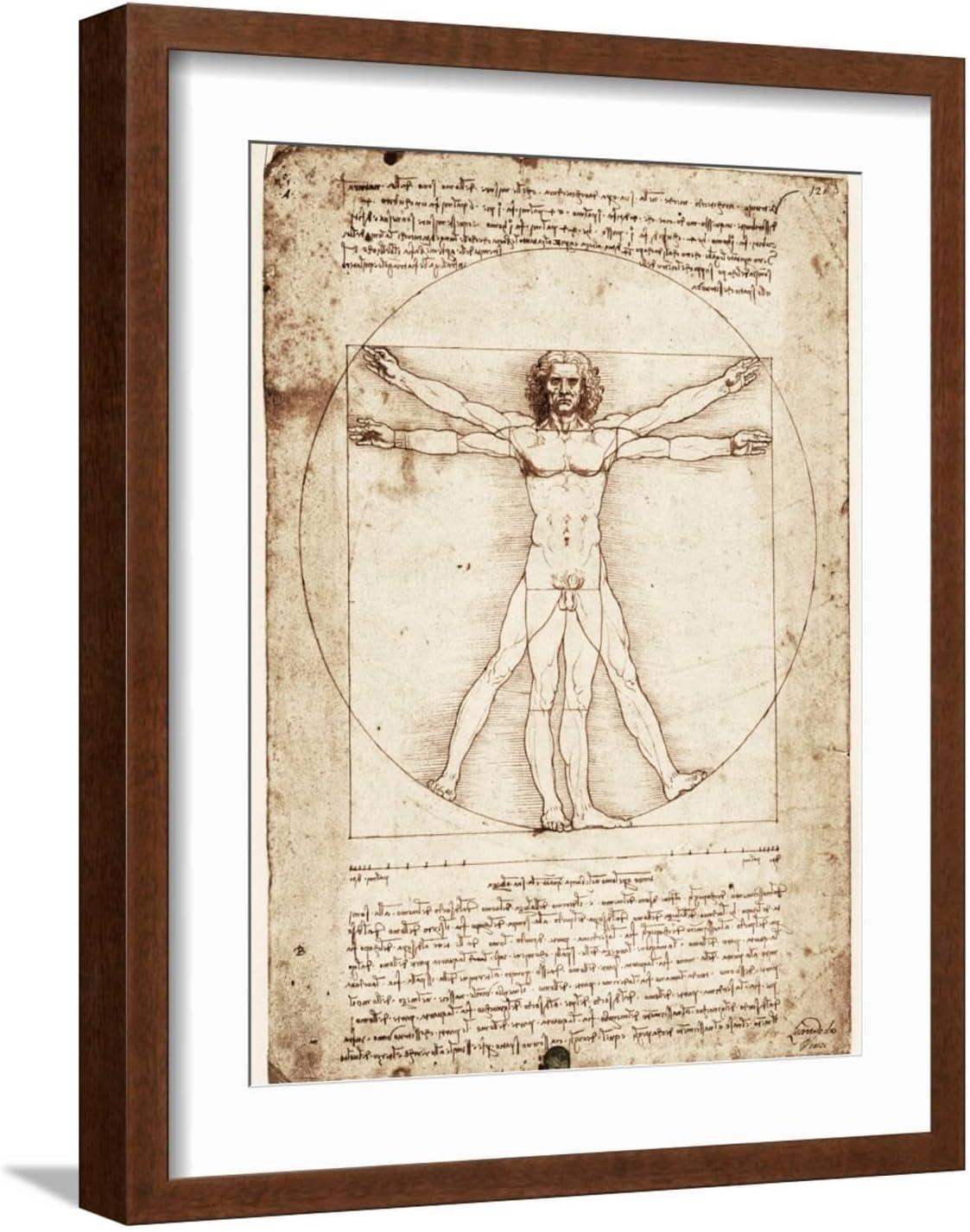 Art.com Vitruvian Man Art Print by Leonardo da Vinci, 12" x 16"