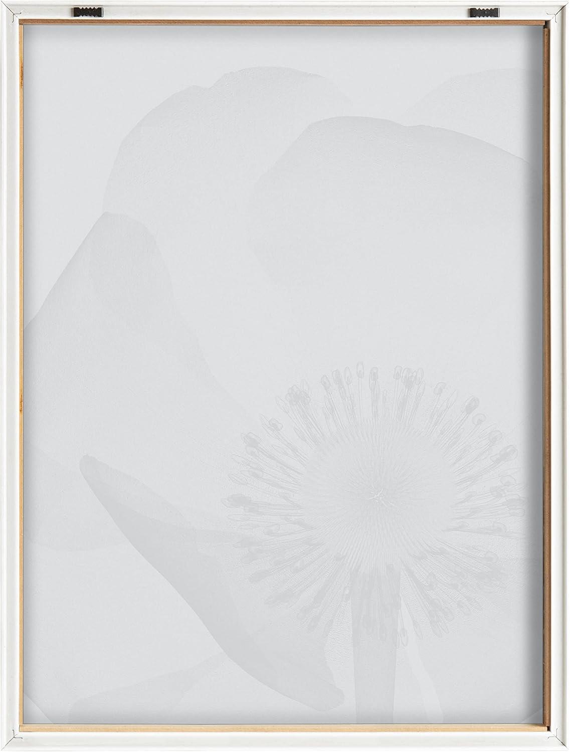 Kate and Laurel Blake Poppy X Ray Floral 2 BW Framed Printed Glass Wall Art by The Creative Bunch Studio, 18x24 Natural, Decorative Modern Flower Art Print for Wall