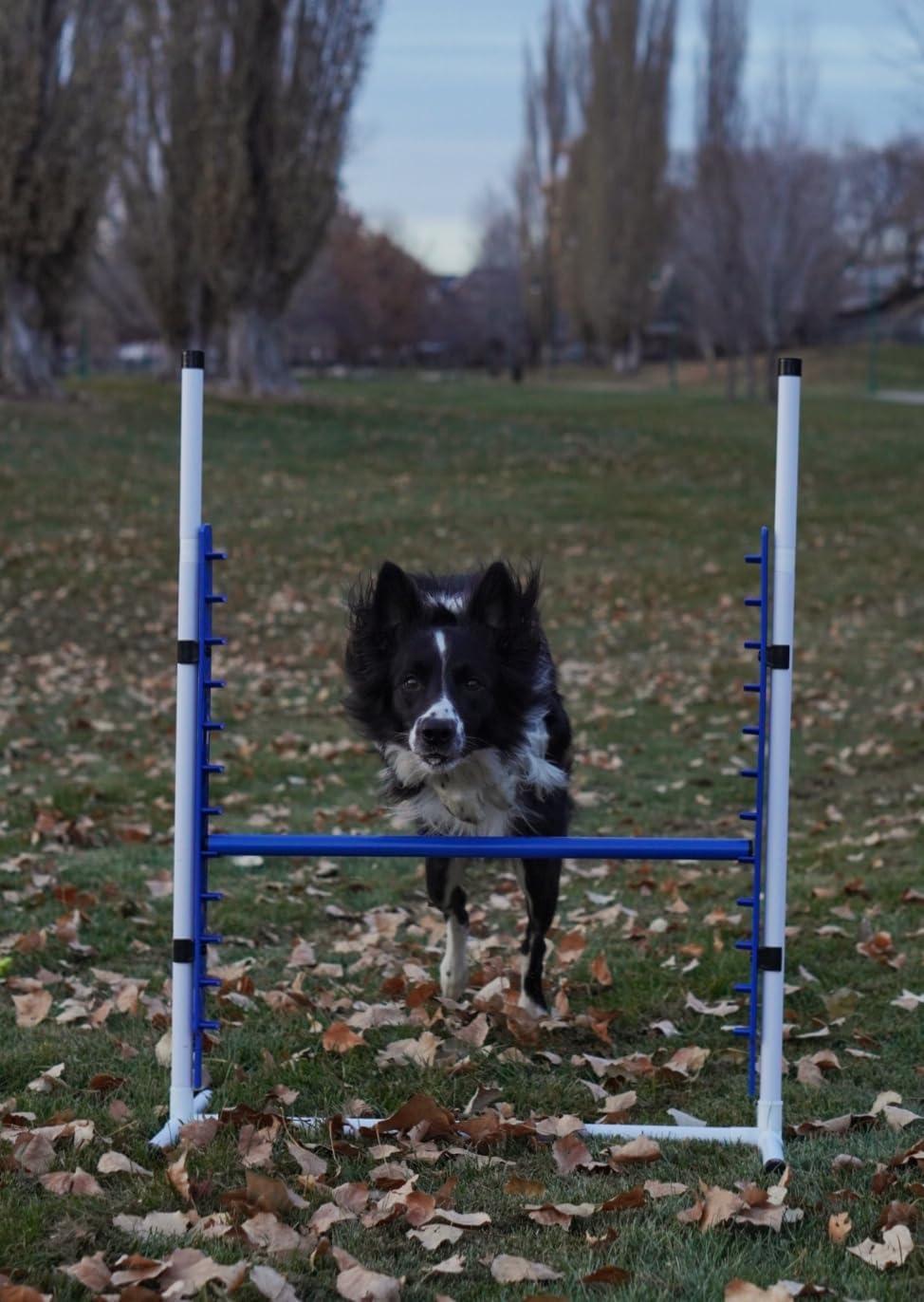 Better Sporting Dogs 4 Pack Adjustable Dog Agility Bar Jumps w/Cup Strips | Competition-Style Jump Cups for Height Class & Safe Displacement