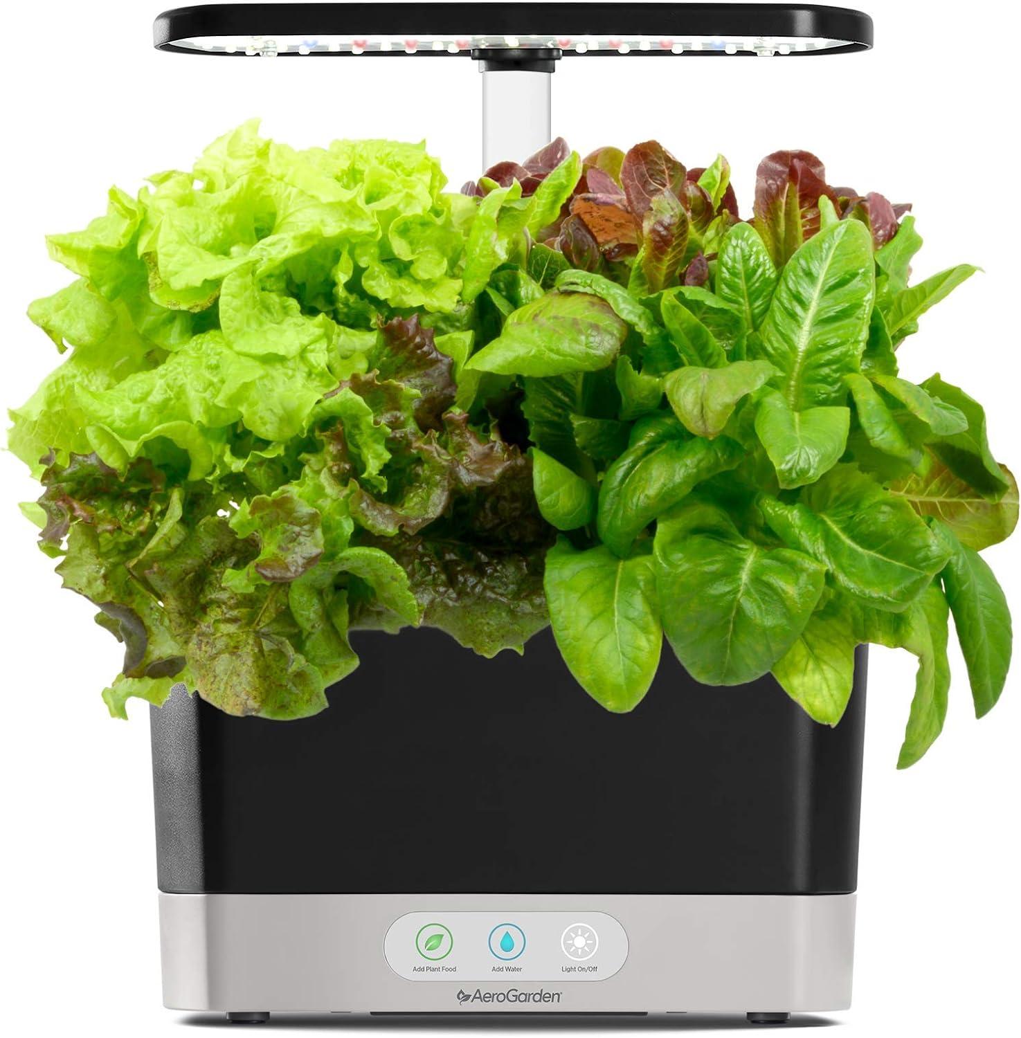 AeroGarden Harvest, Black with Gourmet Herbs Seed Kit