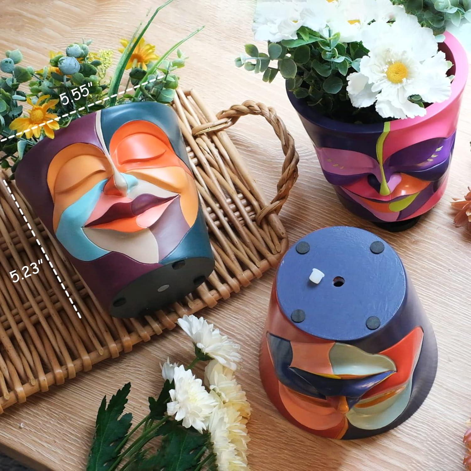 Colorful Abstract Face Planter with Drainage for Indoor and Outdoor Use