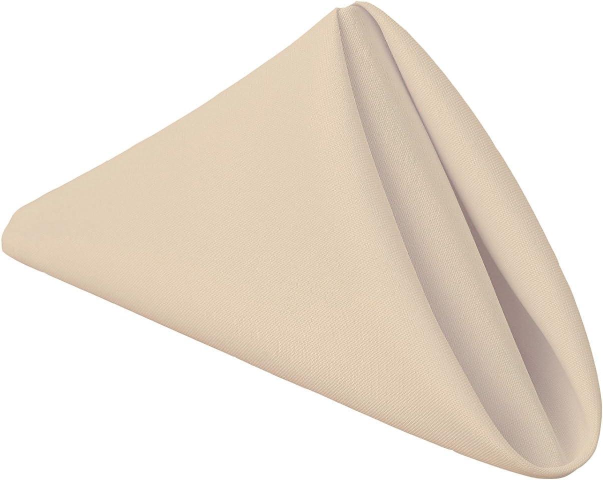 Gee Di Moda Cloth Napkins - 17 x 17 Inch - Heavy Duty Washable Polyester - Set of 12