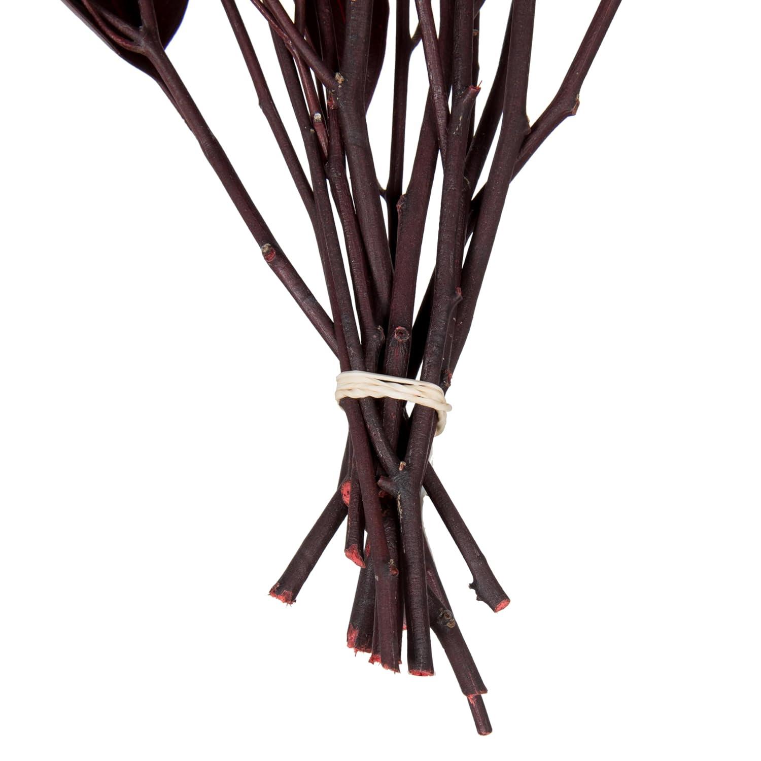 Primrue 18'' Plant