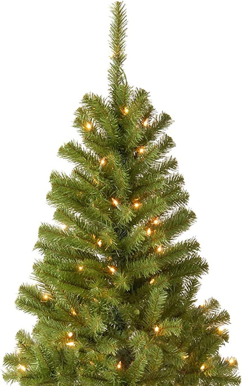 National Tree Company Pre-Lit Artificial  Christmas Tree, Green, Canadian Fir Grande, Clear Lights, Includes Stand, 4 Feet