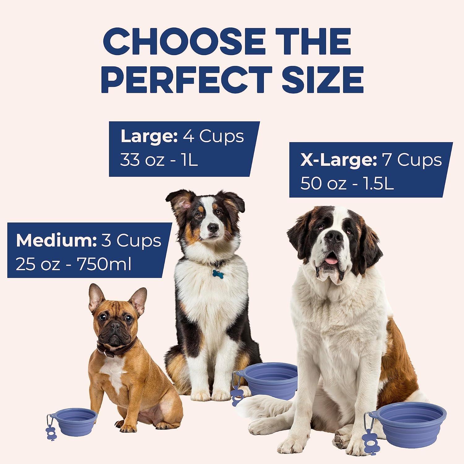 Bonza by Leash Boss Small Collapsible Dog Bowl, Sturdy Reinforced Rim, Includes Carabiner & Water Bottle Holder Keychain, Black