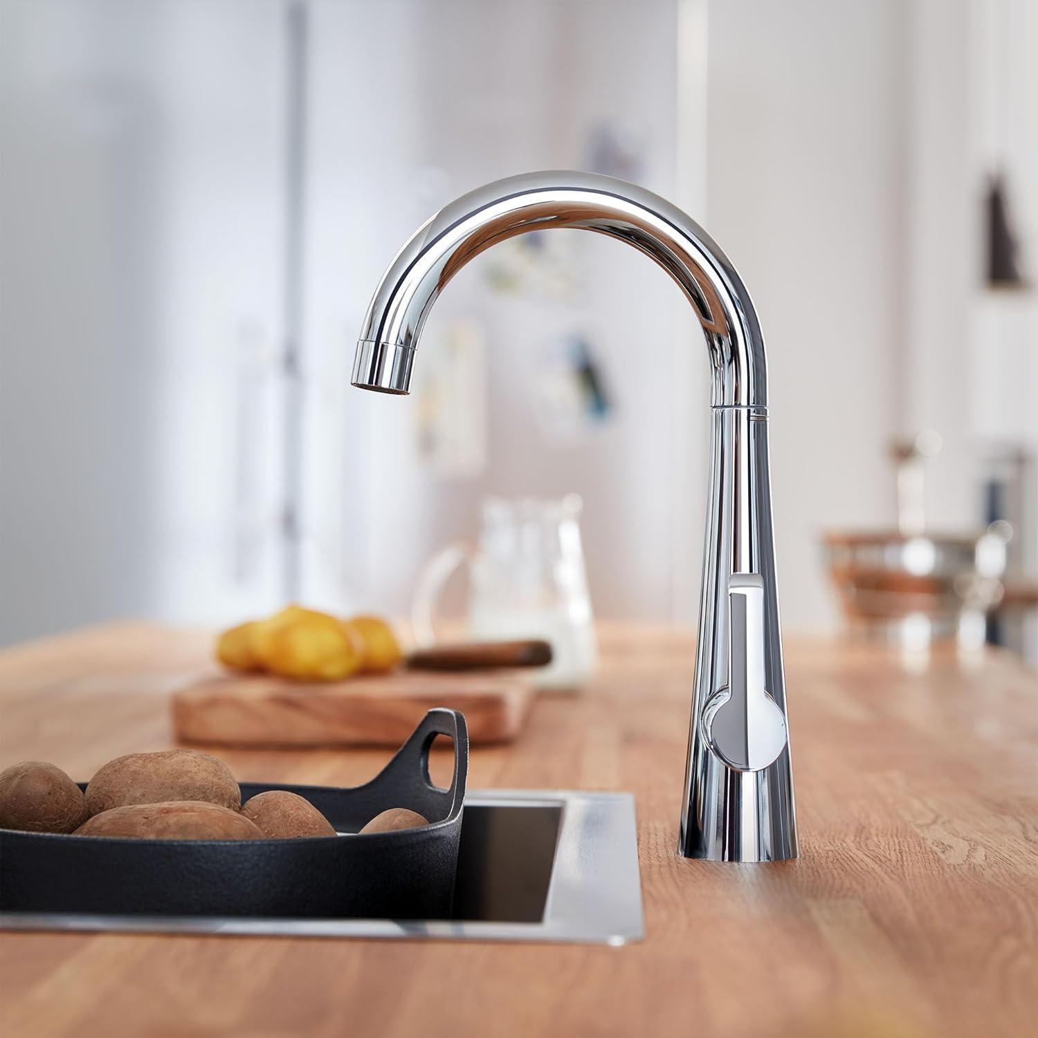 Zedra Single Handle Kitchen Faucet with Accessories