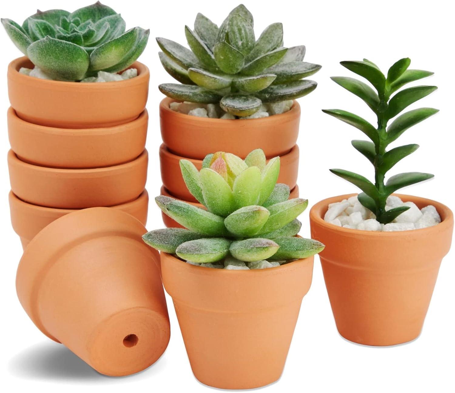 Charming Mini Terracotta Planters with Drainage for Succulents and Herbs, 10-Pack