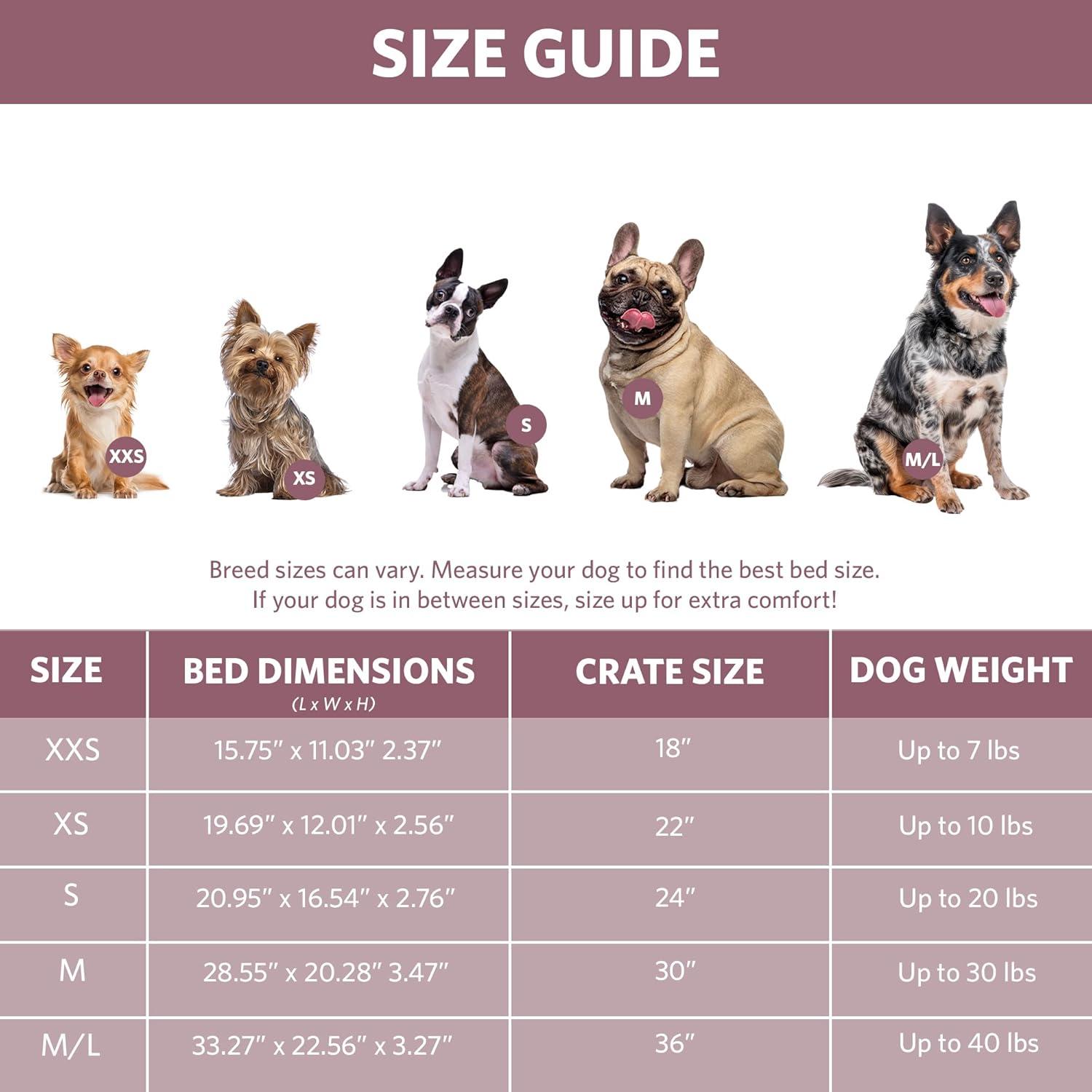 MidWest Homes for Pets Deluxe Fashion Bolster Pet Bed