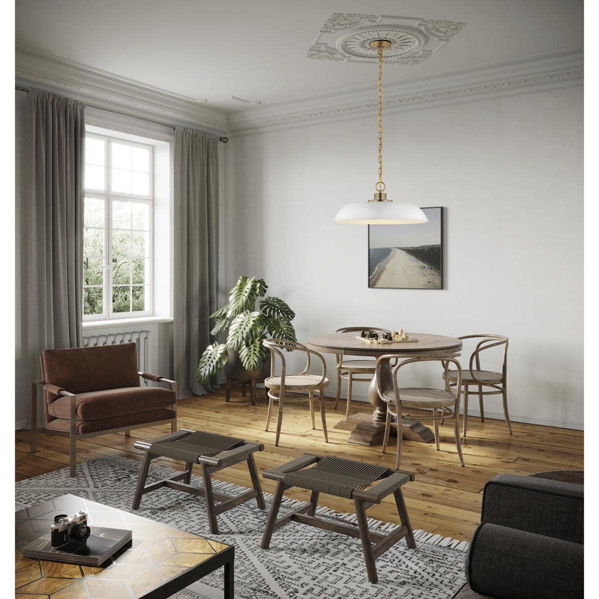 Nuvo Lighting 60/7483 Colgante Colonia de 20" de Ancho - Blanco Mate / Latón Bruñido