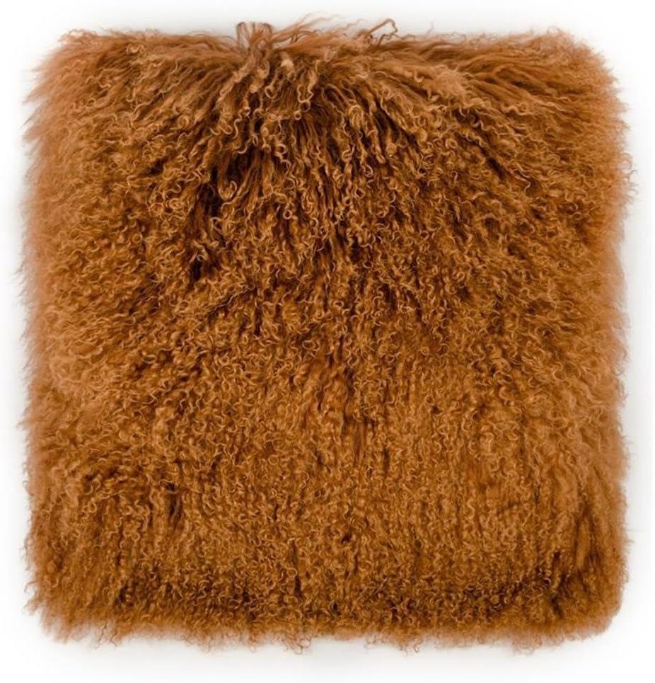 Modern Brown Tibetan Sheep Fur Accent Pillow