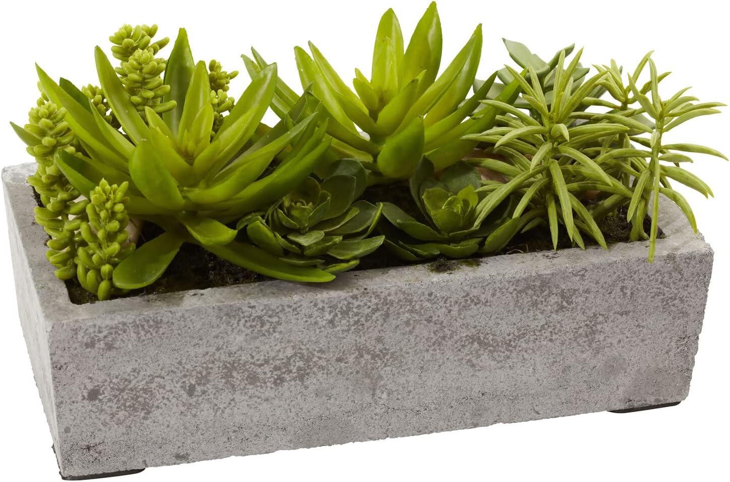 Nearly Natural Succulent Garden with Concrete Planter