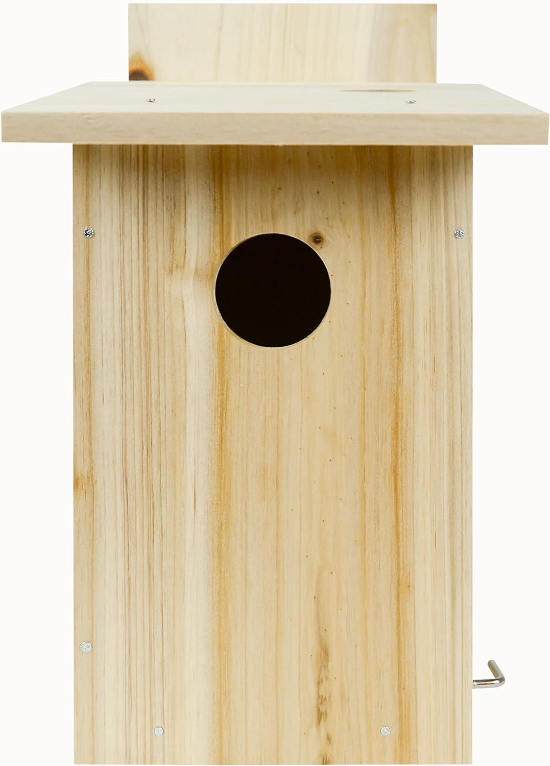 Nature's Way My First DIY Bird House To Paint, Assemble, and Decorate Wood Craft, 10"