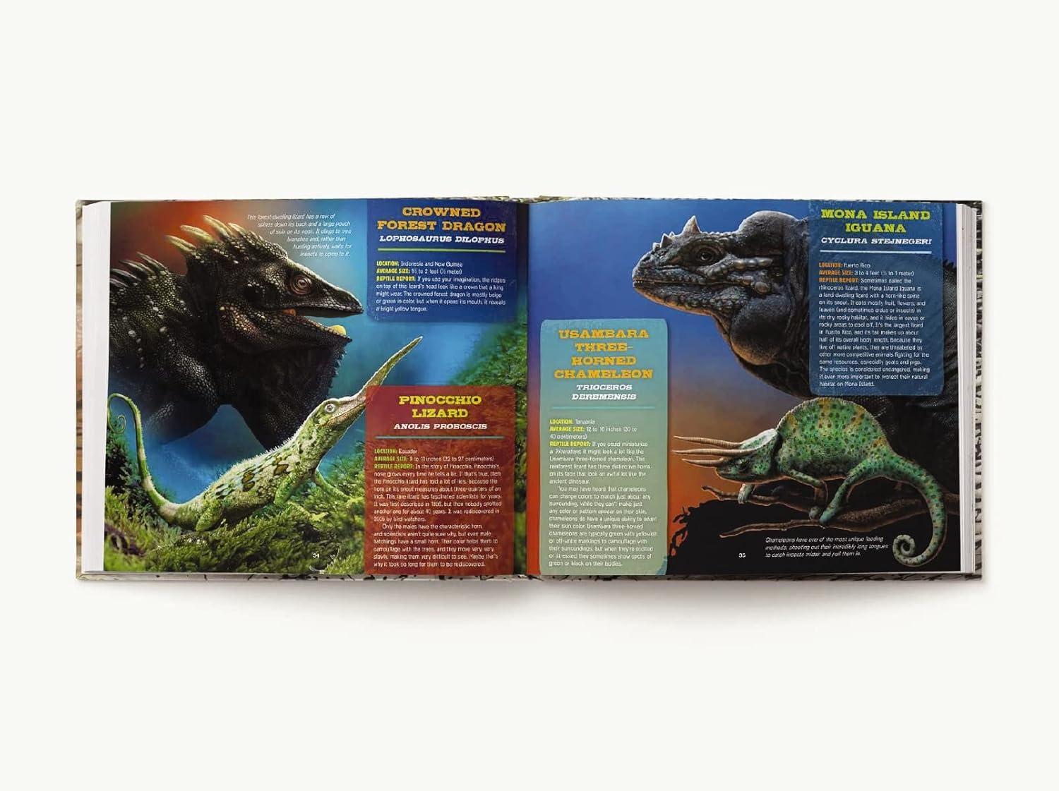 Discovering Reptiles - by  Thomas Nelson (Hardcover)