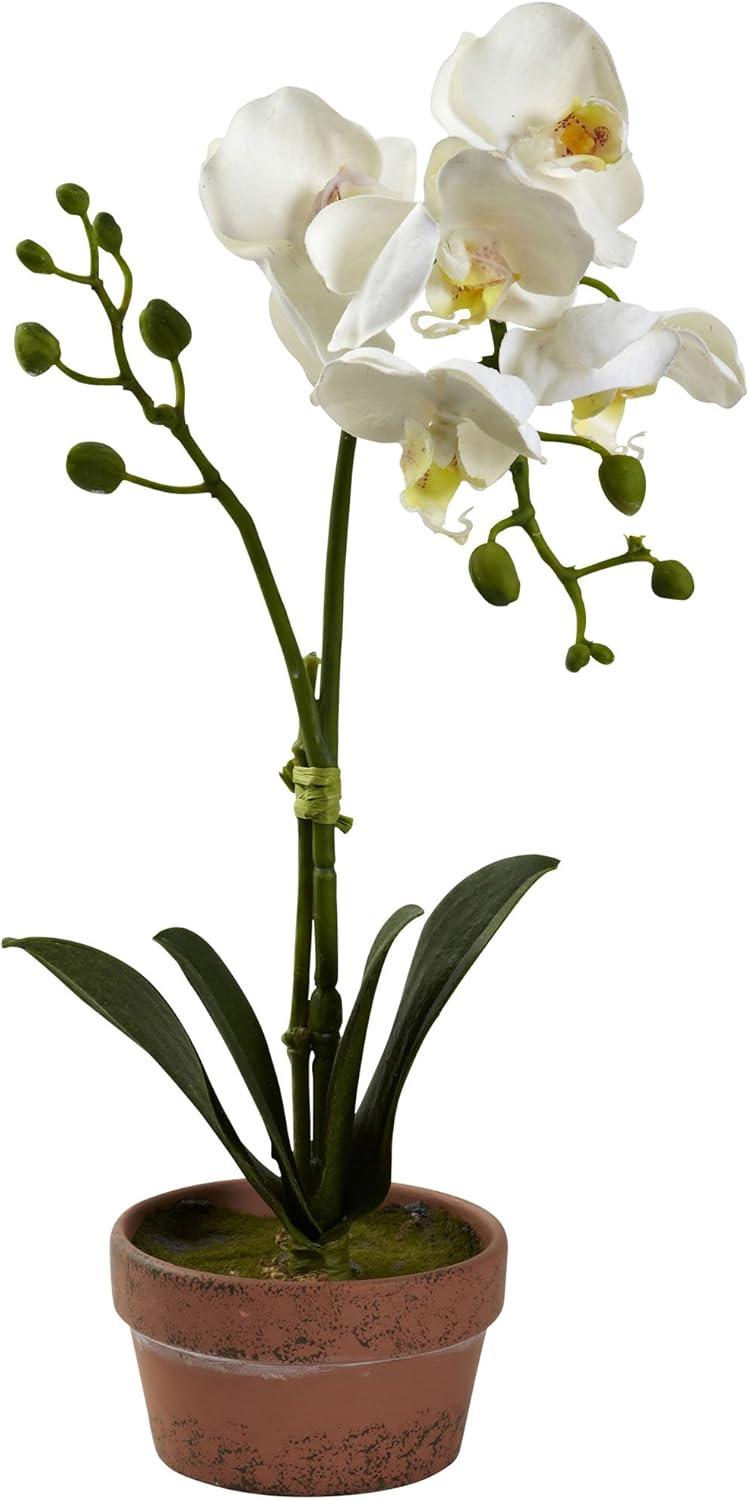 Nearly Natural Phalaenopsis Orchid with Clay Vase (Set of 4)