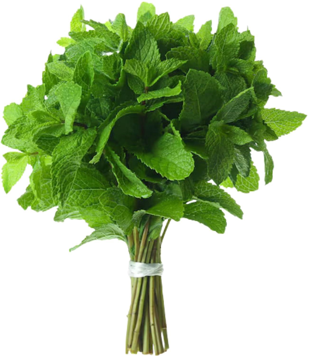 Fresh Mint (Pudina) Leaves - 1.5-2oz - Rani Brand Authentic Indian Products