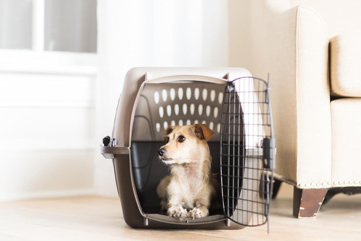 Petmate Plastic Pet Carrier with 1 Door