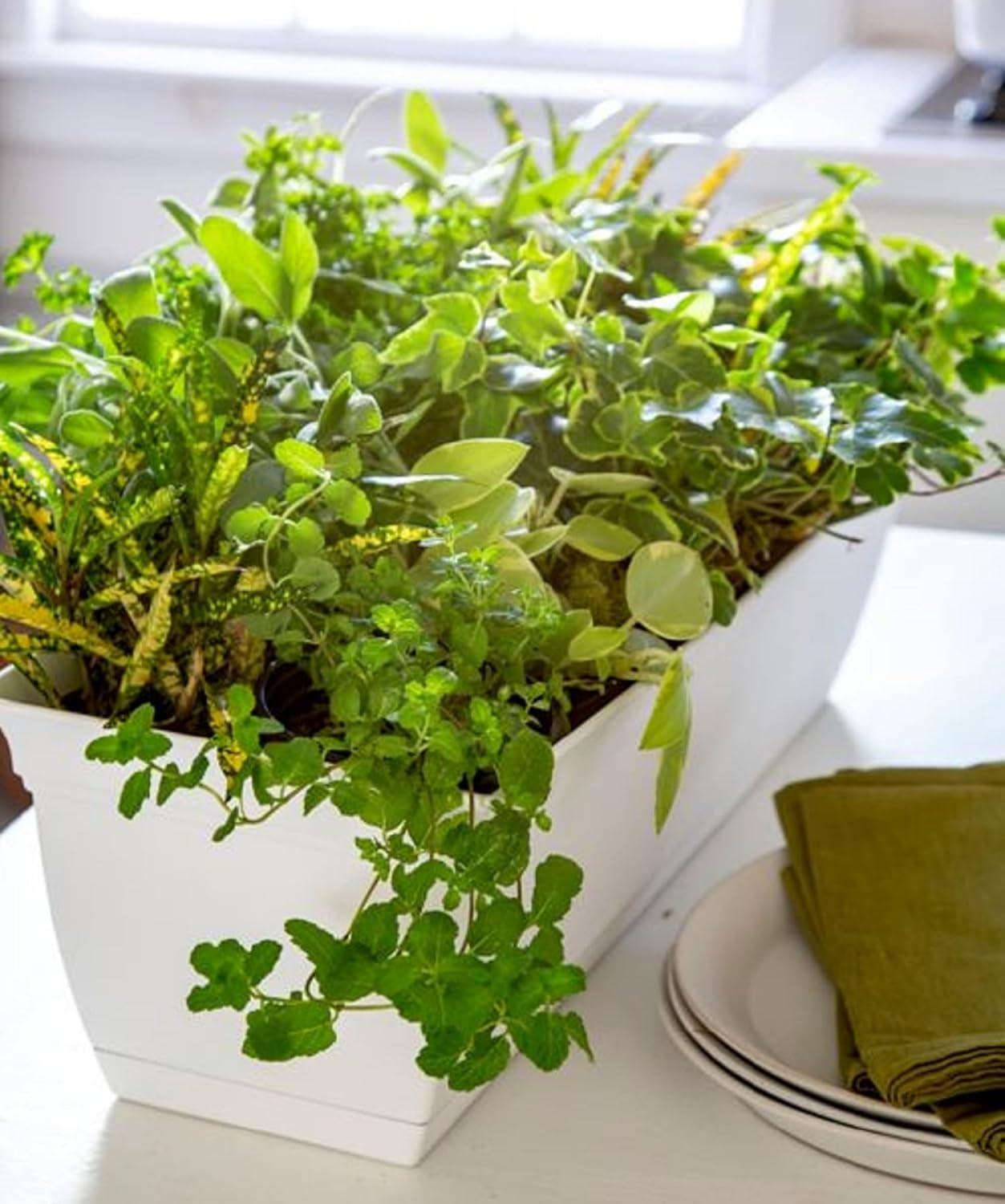 HC Companies Planter Box