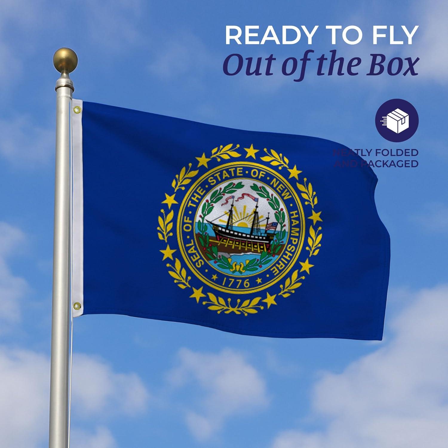New Hampshire State Flag 4' x 6' Nylon with Brass Grommets