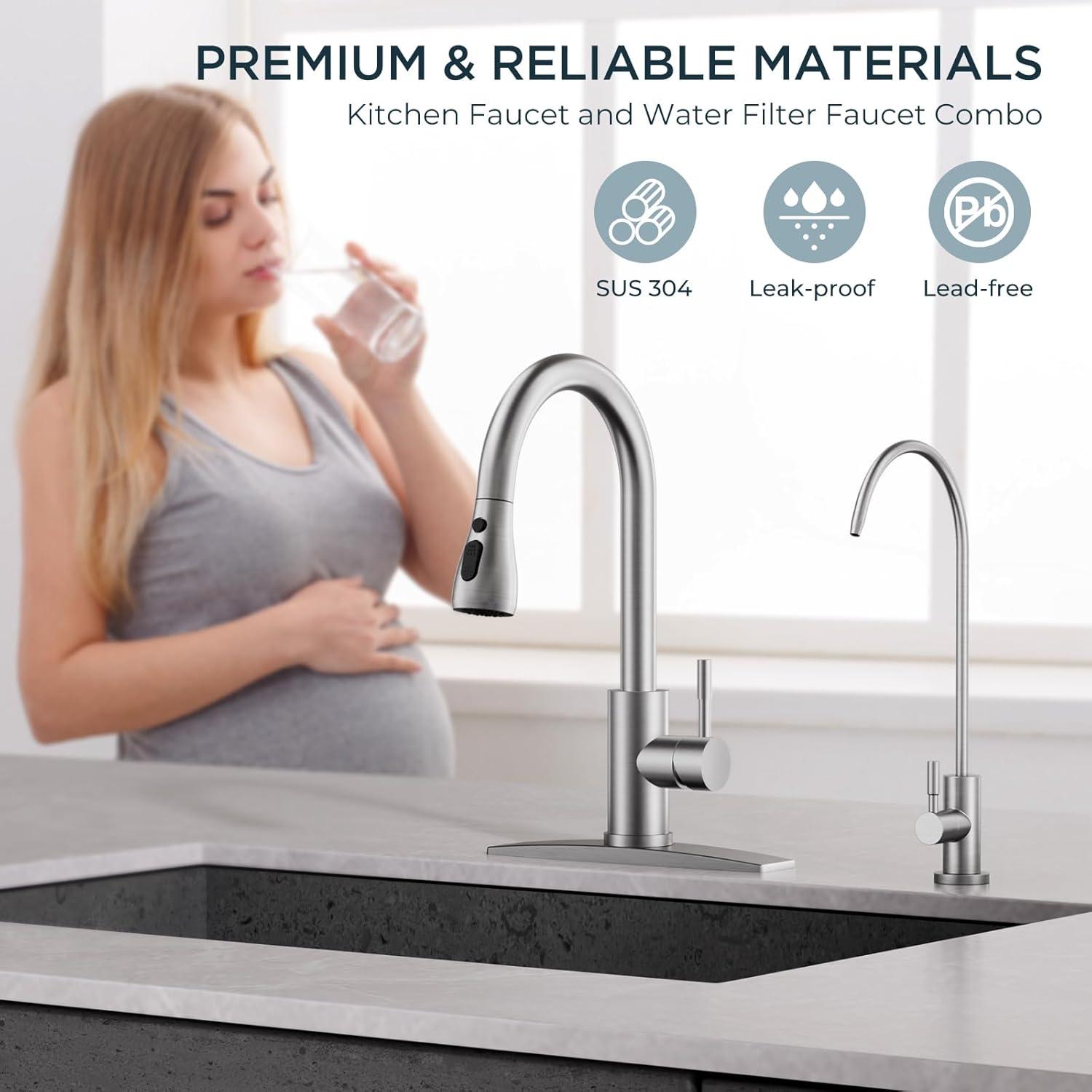 ARCORA ARCORA Stainless Steel Pull-Down Kitchen Faucet and Water Filter Faucet Combo AR7100301-L