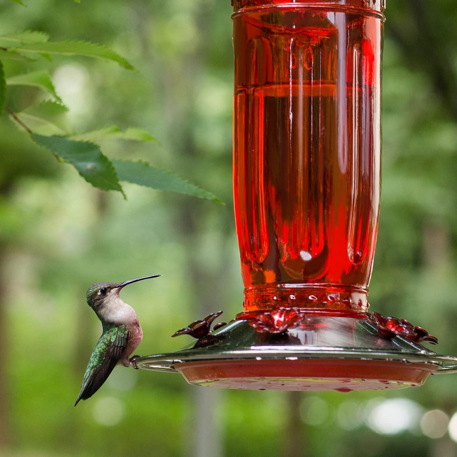 Kingsyard Glass Hummingbird Feeder with 6 Feeding Ports and Ant Moat, 16 oz, Leak Proof, Red