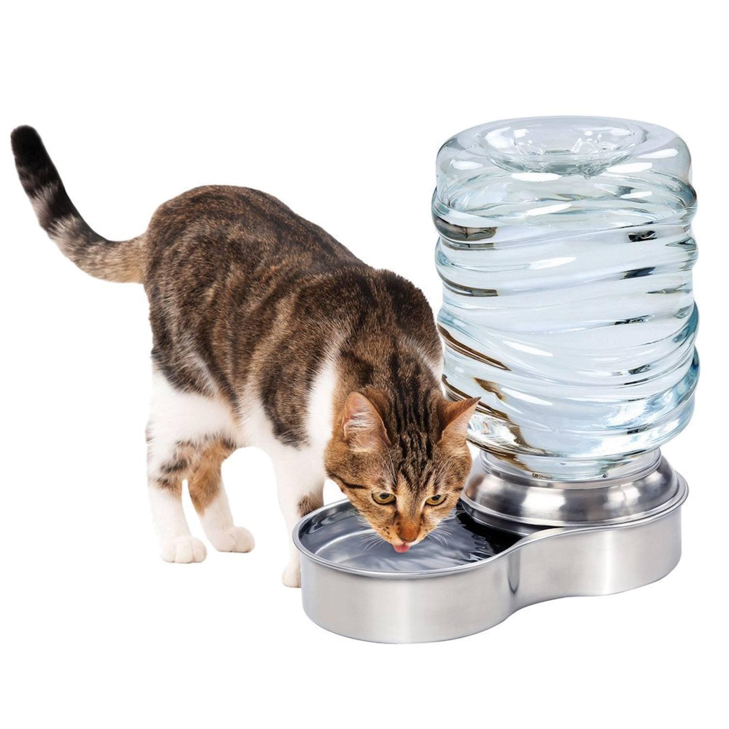 Pet Water Fountain for Dog Cat Stainless Steel Bowl Automatic Gravity Water Dispenser