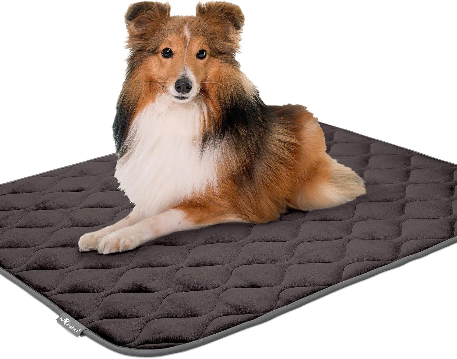 Paw Inspired Washable Padded 42" Crate Mats for Dogs | 41" x 28" Size, Fits 42-inch Kennels | Anti-Slip, Leakproof, Waterproof, Reusable Plush Pet Pads (Gray)