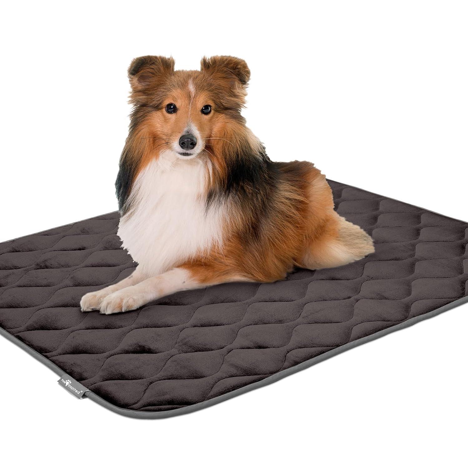 Paw Inspired Washable Padded 42" Crate Mats for Dogs | 41" x 28" Size, Fits 42-inch Kennels | Anti-Slip, Leakproof, Waterproof, Reusable Plush Pet Pads (Gray)