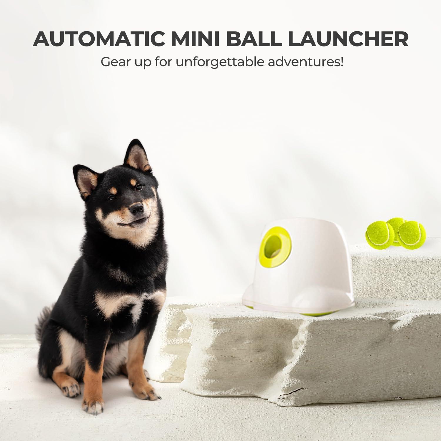 White and Yellow Automatic Dog Ball Launcher with Adjustable Distance