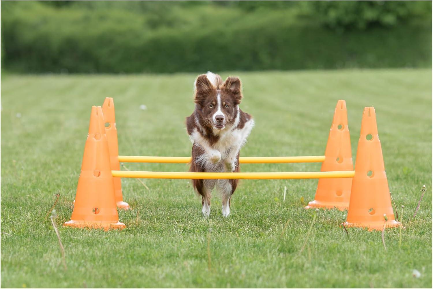TRIXIE TRIXIE Dog Agility Hurdle Cone Set, Portable Canine Agility Training Set