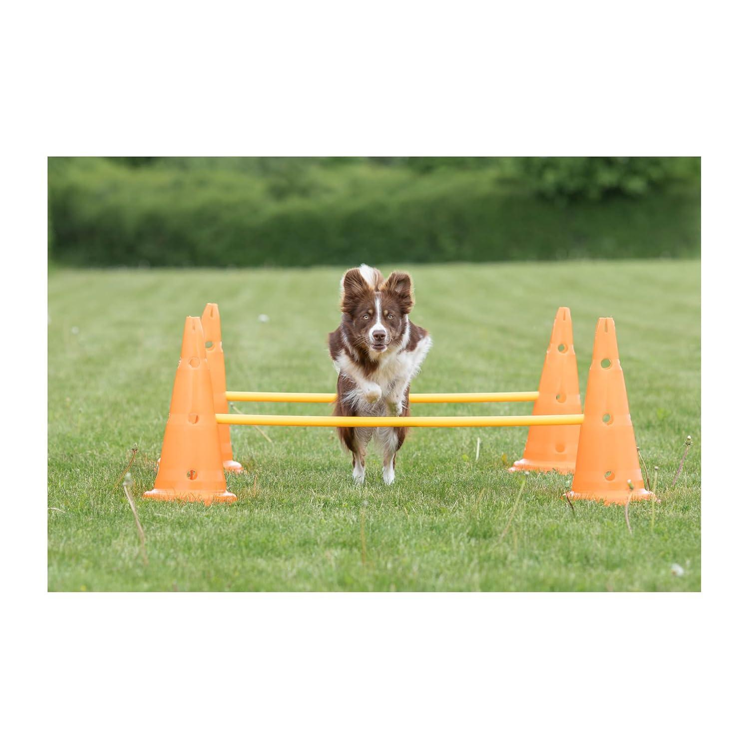 TRIXIE TRIXIE Dog Agility Hurdle Cone Set, Portable Canine Agility Training Set