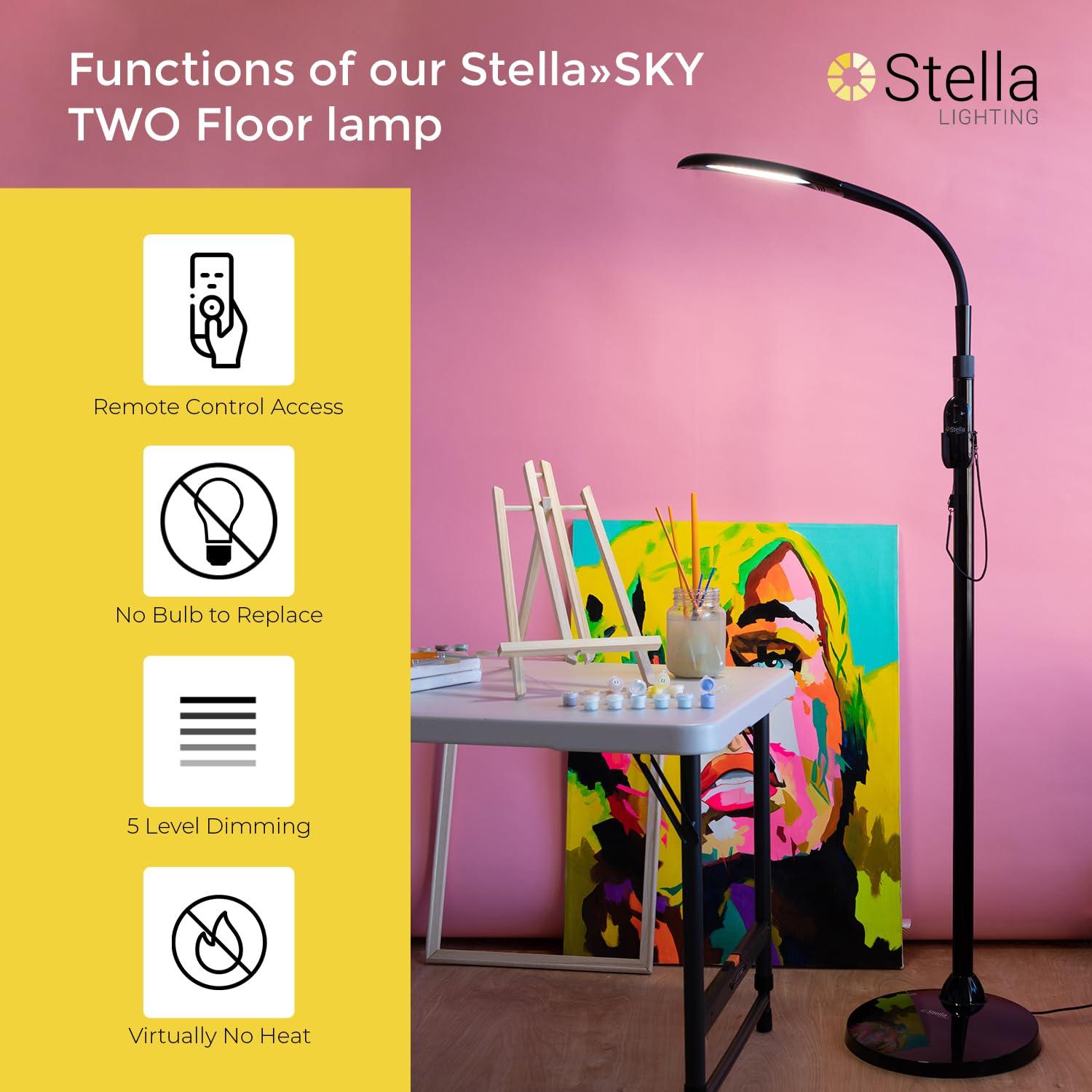 Stellasky Floor Lamp-Black