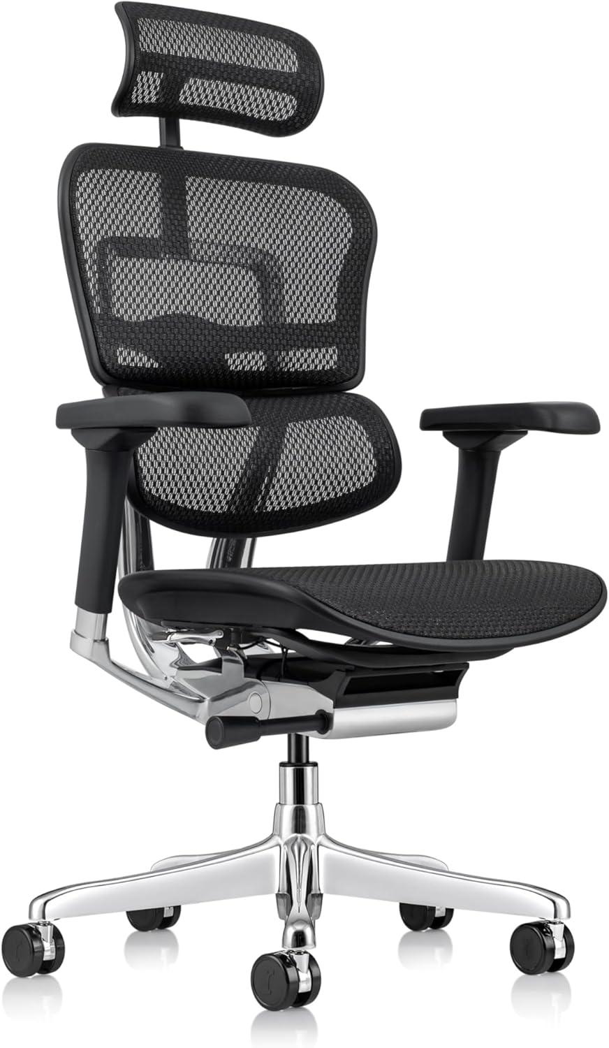 Eurotech Seating Ergohuman Executive Chair with Headrest