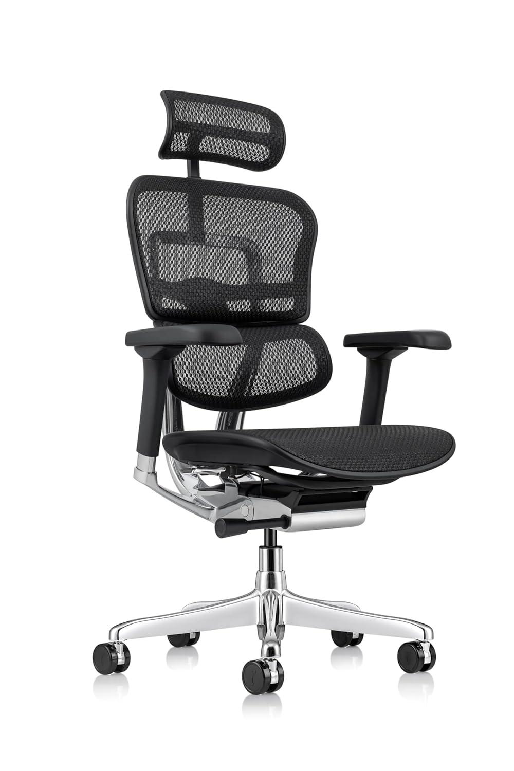 Eurotech Seating Ergohuman Executive Chair with Headrest
