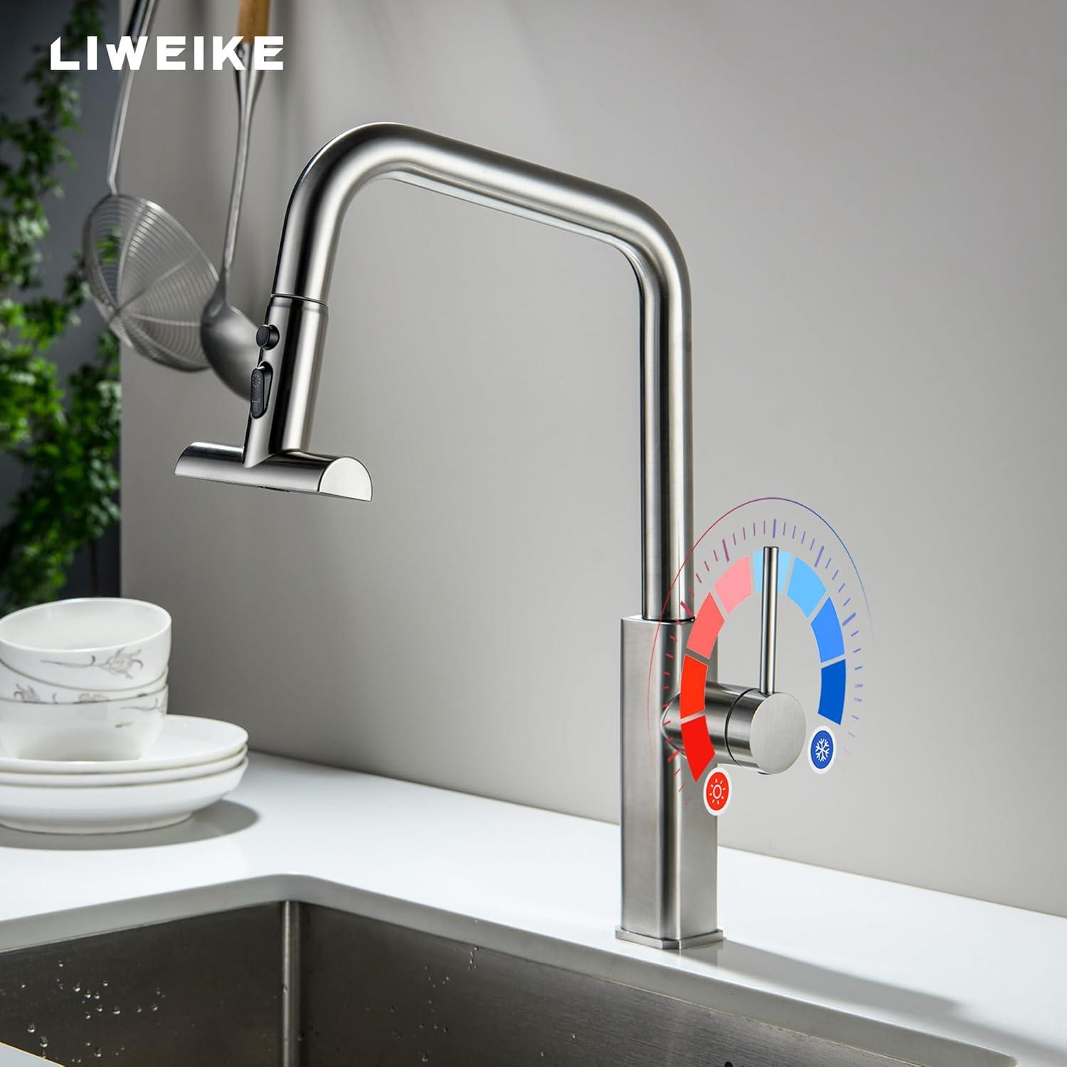 VIBRANTBATH VIBRANTBATH Pull Out Kitchen Faucet 4034-BGK