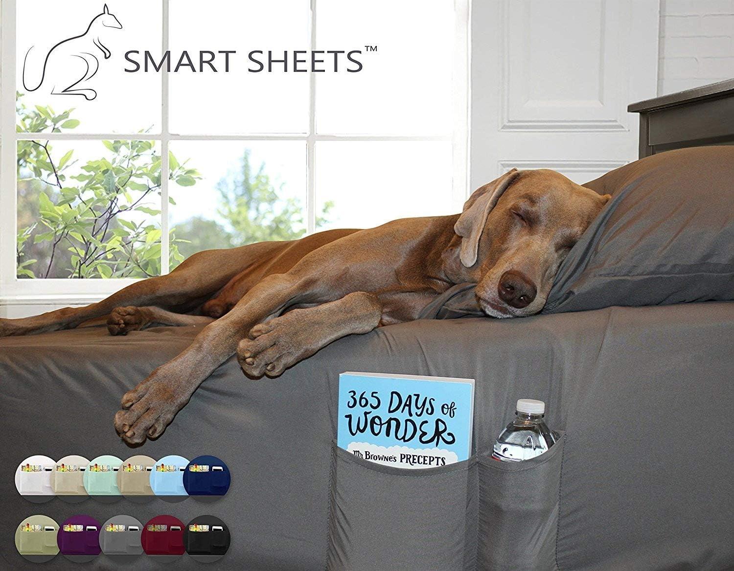 Cathay Home, Inc 1800 Series Smart Storage Pocket Microfiber Sheet Set