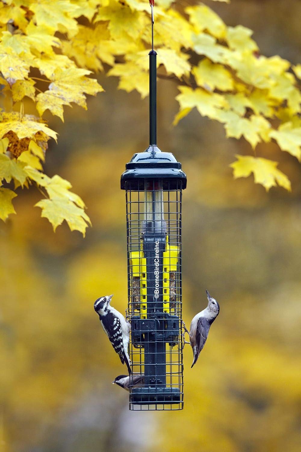 Brome Bird Care Squirrel Buster Truly Squirrel-Proof Suet Feeder (Green)