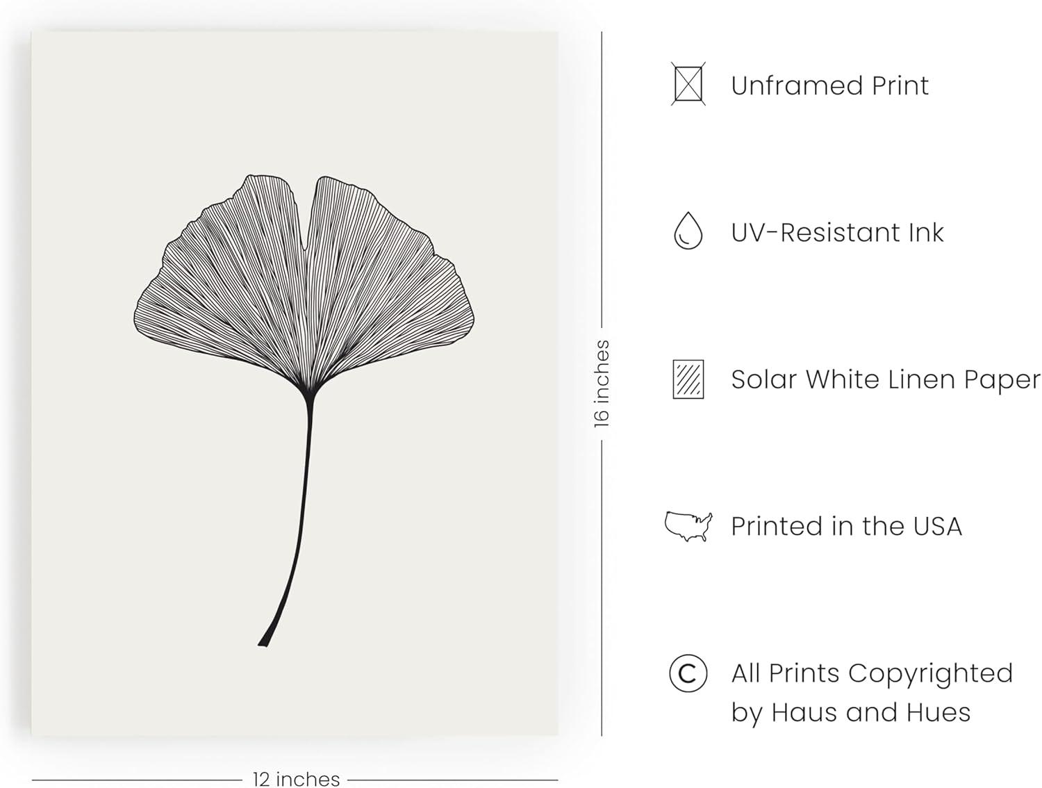 Haus and Hues Plant Wall Art - Ginkgo Flower Botanical and Minimalist Neutral Print Black and White Art, Botanical Prints Minimalist Wall Art Black and White, Neutral Wall Art (12x16 Unframed)