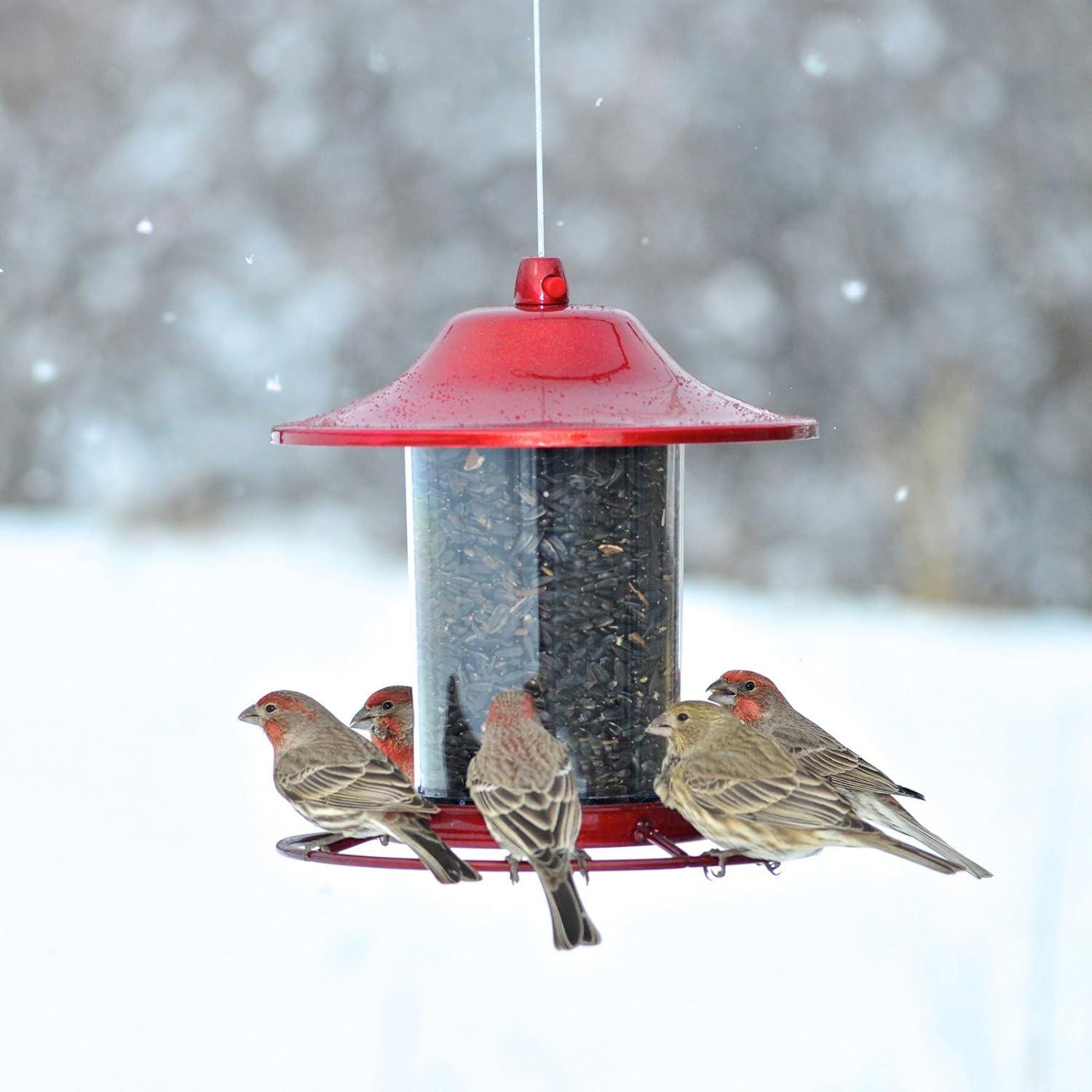 Perky-Pet Wild Bird 2 lb Metal/Plastic Panorama Bird Feeder 1 ports Model No 312R (Case of 2)