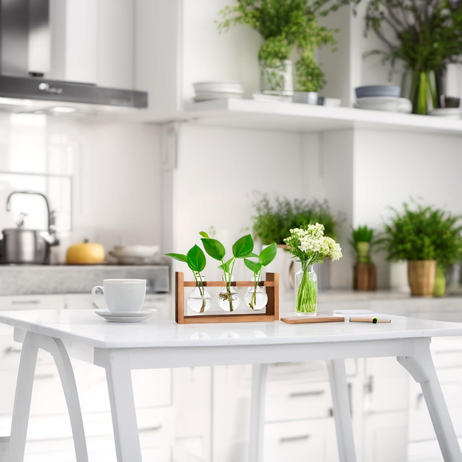 Plant Propagation Station,Plant Terrarium,Plant Starter,Gifts for Plant Lovers,Glass Bulb Terrarium with Retro Solid Wooden Stand for Hydroponics Plants Home Garden Wedding Décor (3 Bulbs)