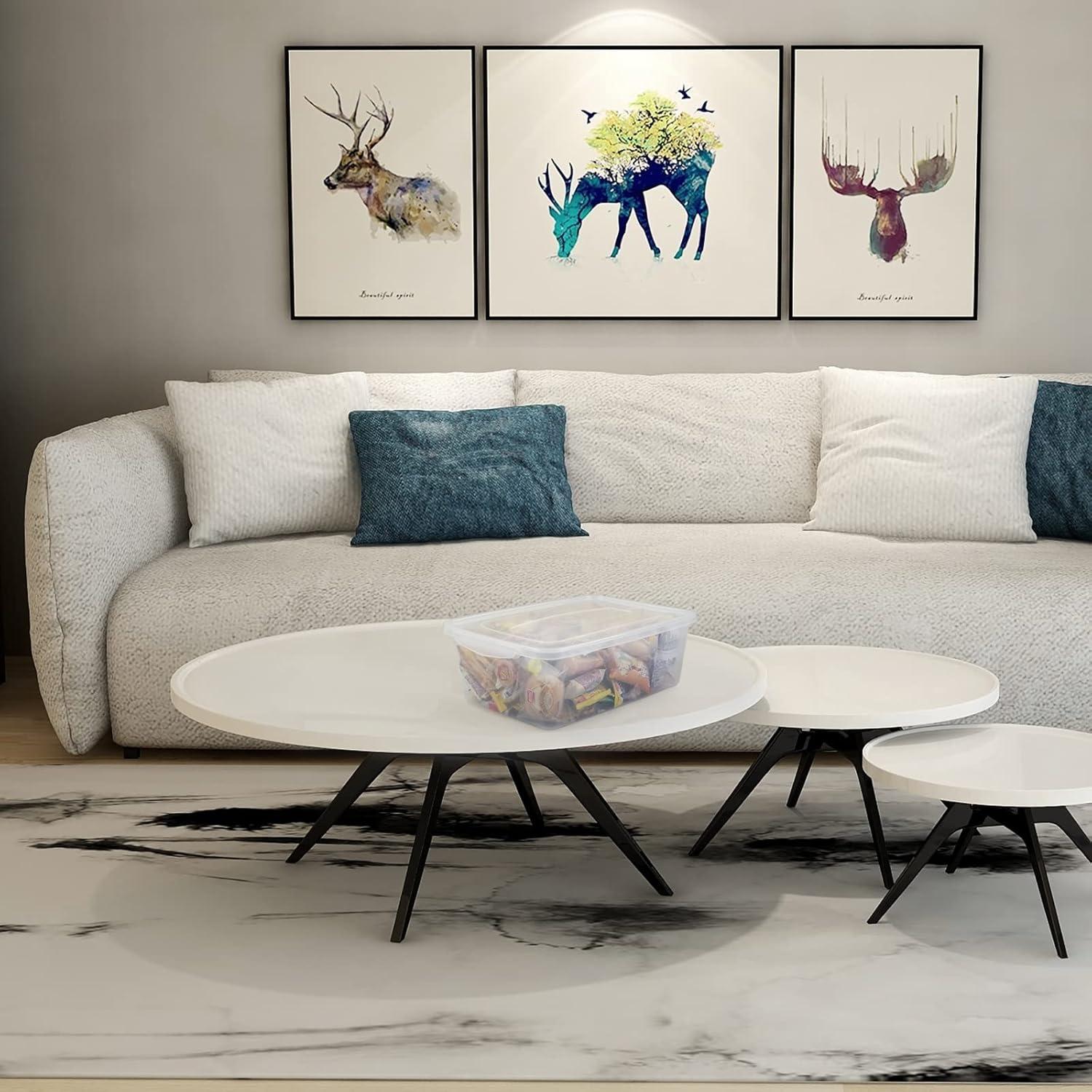 4-Pack 14 L Clear Dough Proofing Box, Food Pizza Storage Container