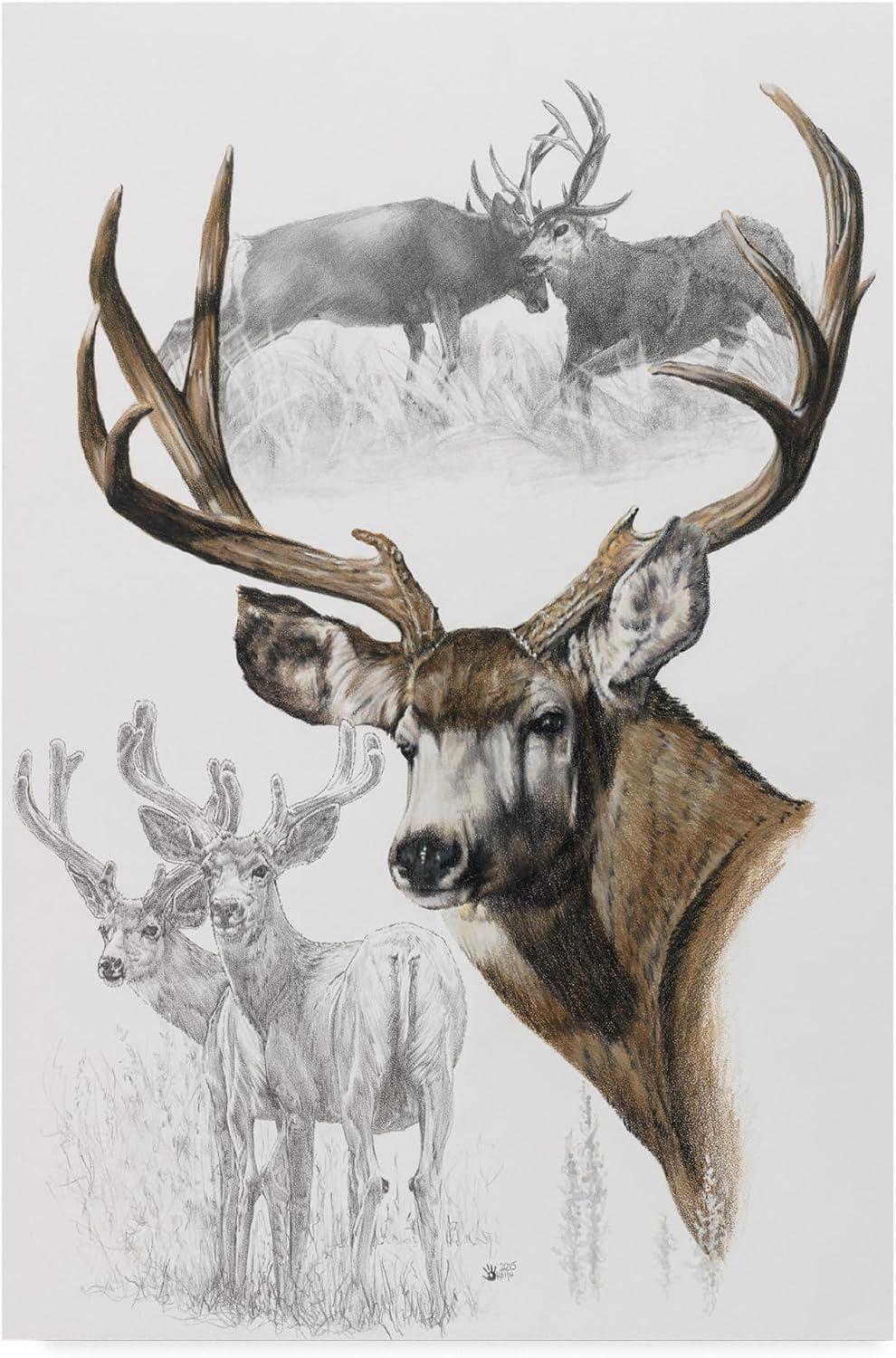 Trademark Fine Art Barbara Keith " Mule Deer " by Barbara Keith