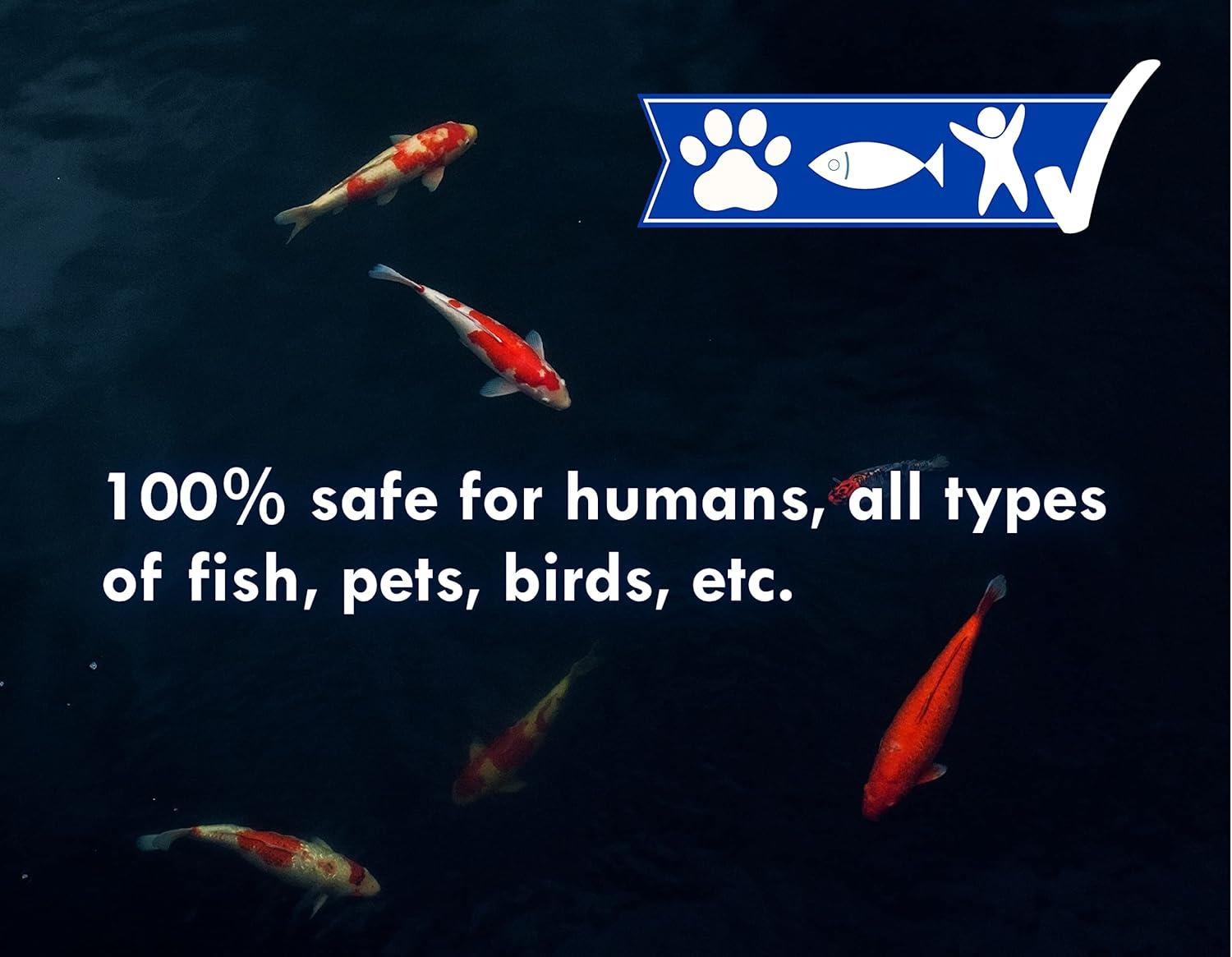 KoiWorx Blue Dye - Ornamental and Decorative Pond Dye, Water Features and Fountains, Safe for Koi - 16oz