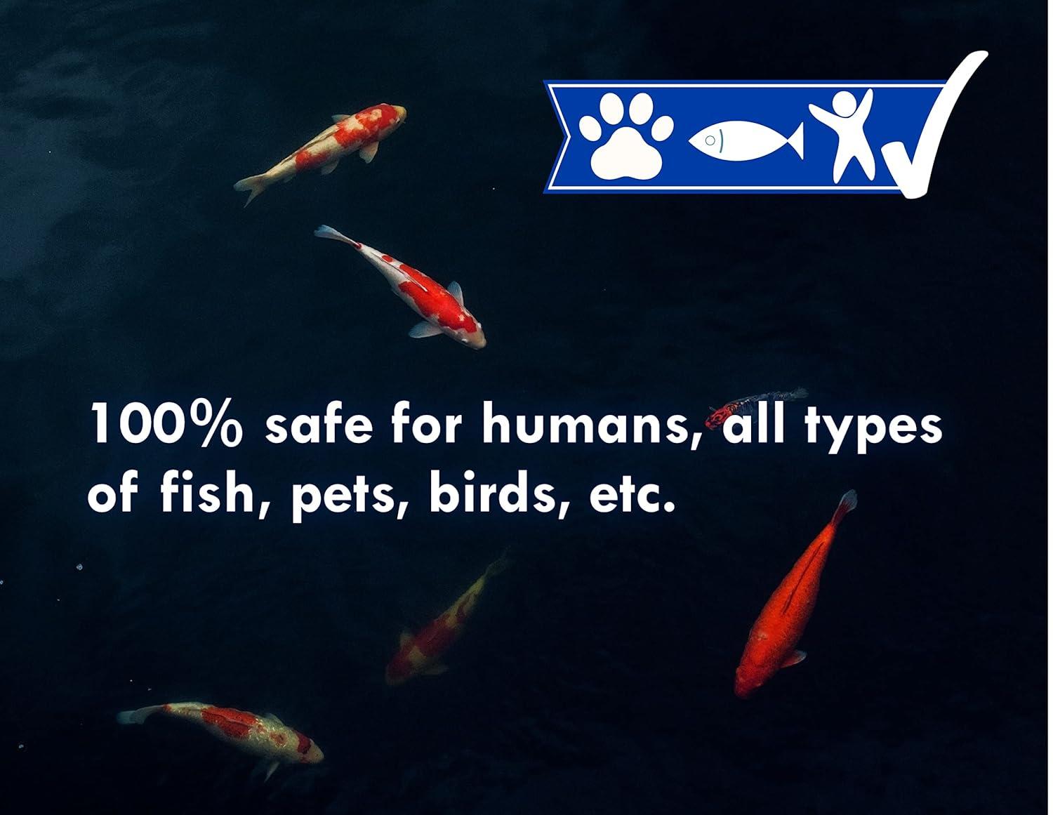 KoiWorx Blue Dye - Ornamental and Decorative Pond Dye, Water Features and Fountains, Safe for Koi - 16oz