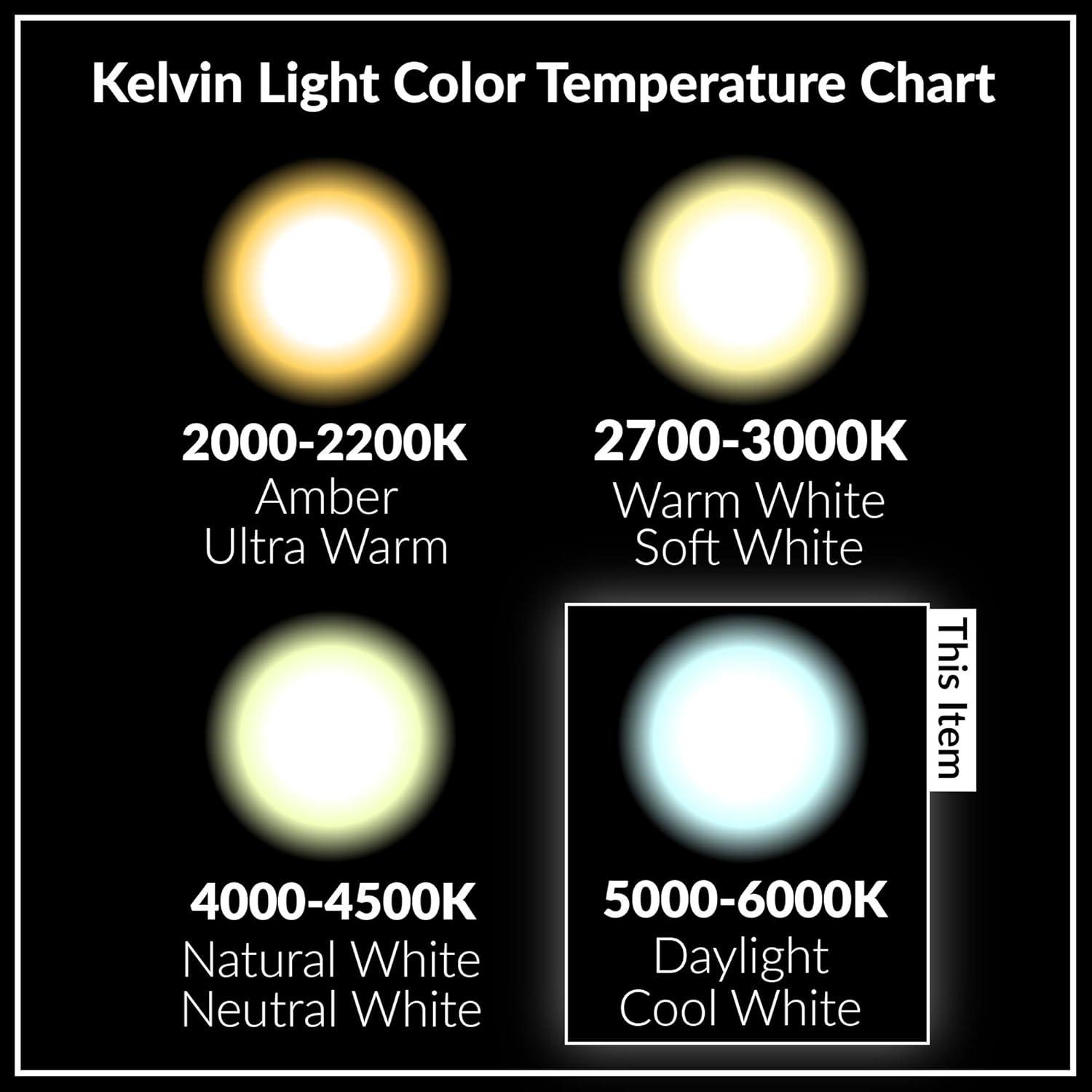 Simba Lighting LED PAR38 18W 38 Spotlight ETL Listed 180W Replacement Bulbs 120V Dimmable E26 5000K Daylight 2-Pack