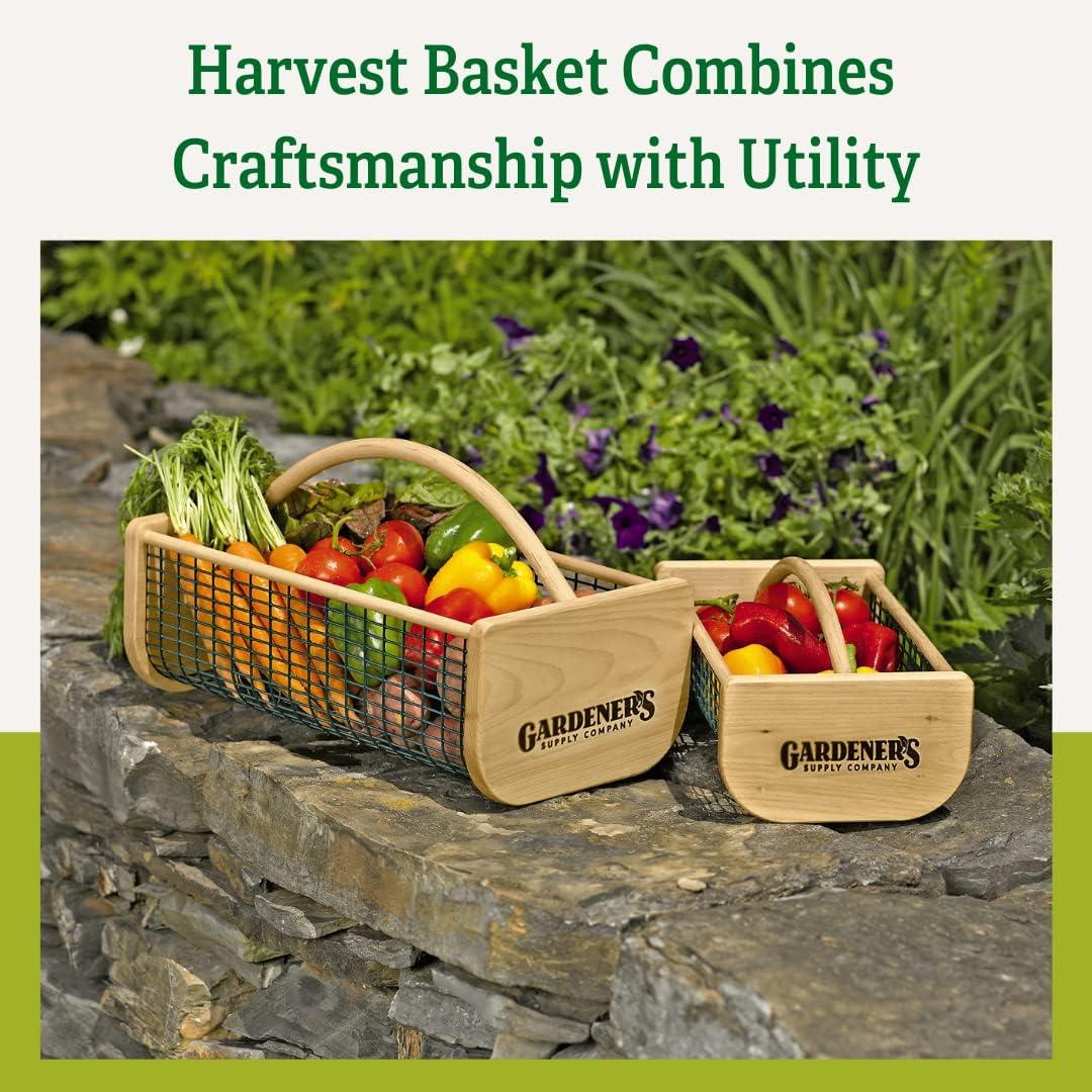 Gardeners Supply Company Garden Hod Harvest Basket | Versatile Gardening Fruits & Vegetables Gathering Basket | Natural Smooth Pine - Maple Frame &