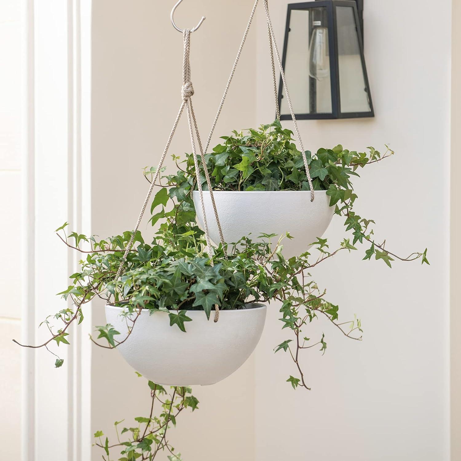 Boxdale Hanging Planter - Set of 2 (Set of 2)