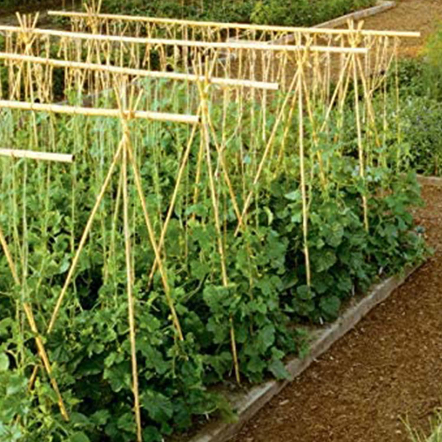 GROW!T 6' Bamboo Stakes, pack of 25