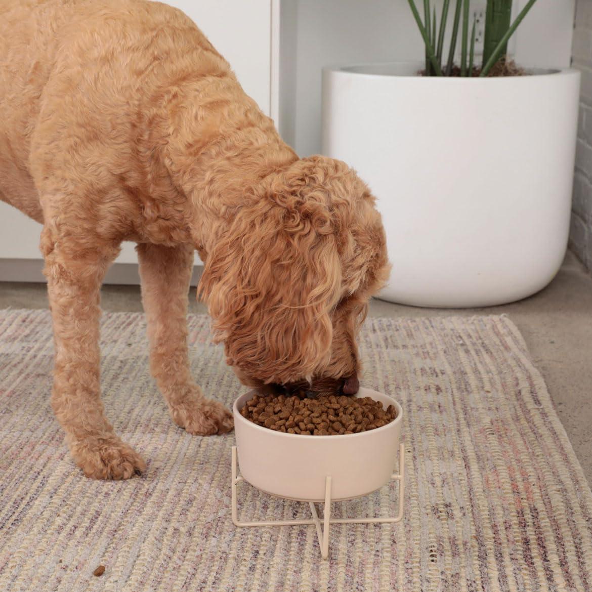 Waggo Elevated Feeder