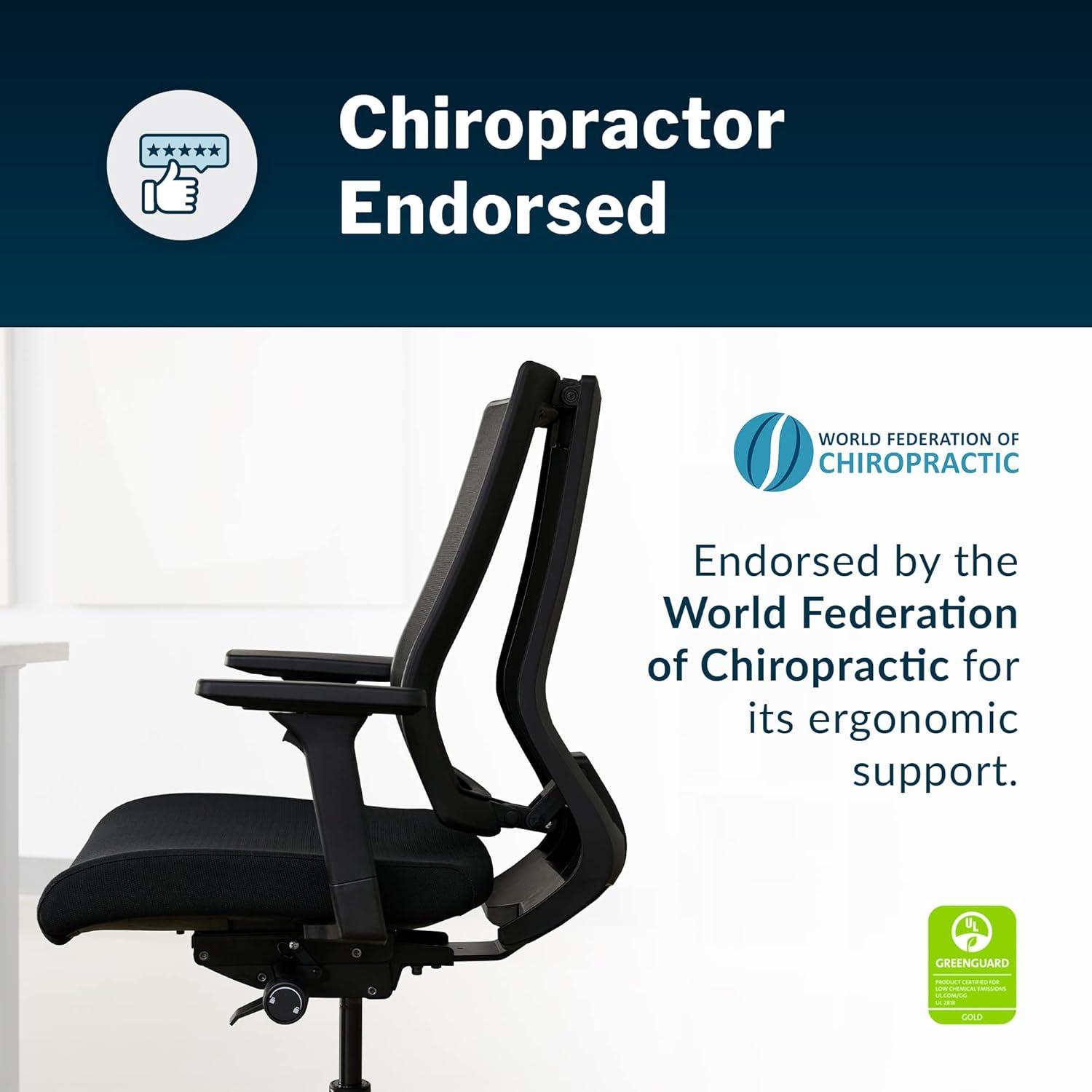 Vari Task Chair- Varidesk Comfortable Ergonomic Office Chair with Mesh, Armrests and Rolling Casters - Easy Assembly, 300lb Capacity - Lumbar and Back Support - Home Office Chair- Black