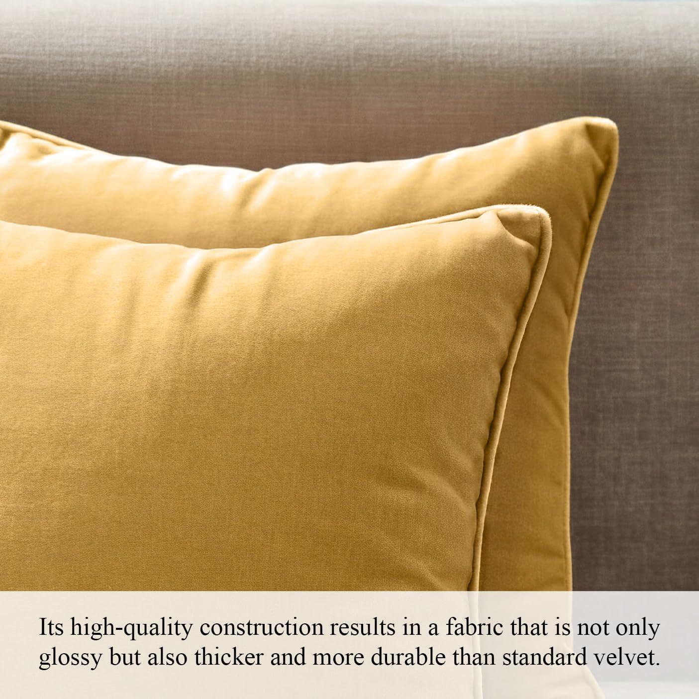 A1 Home Collections LLC Velvet Pillow Cover (Set of 2)